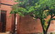 Victoria Hotel Rutherglen - thumb 1