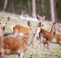 Villa Cervi Property - Accommodation Bookings