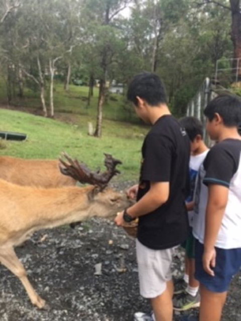 Villa Cervi Property - Accommodation Bookings 3