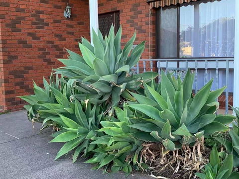 Vintage House In Bentleigh East - Accommodation Bookings 1