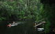 WA Wilderness Glamping - thumb 2