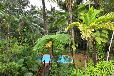 Wait A While Daintree - Accommodation Bookings 3