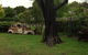 Walcha Royal Cafe & Accommodation - thumb 1