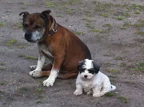 Walcha Royal Cafe & Accommodation - Accommodation Bookings 3