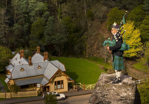 Walhalla Wild Cherry - Accommodation Bookings 2