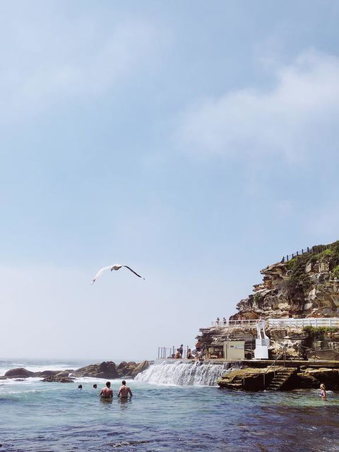 Walk To Beach From This Stylish Bronte Oasis W AC, Wifi And Free Parking - Accommodation Bookings 3