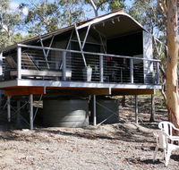 Wallabies Rest