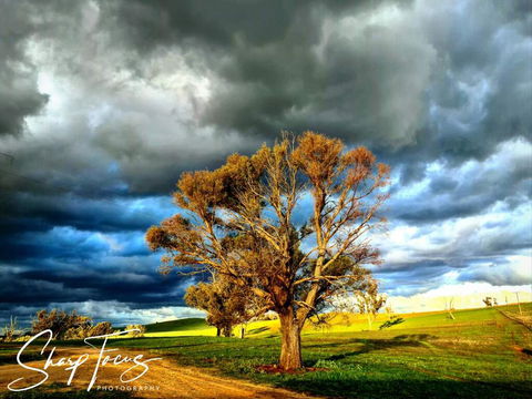 Wantana Cottage Farmstay - Accommodation Bookings 2