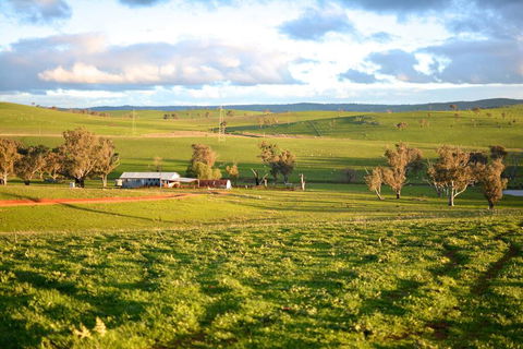 Wantana Cottage Farmstay - Accommodation Bookings 0
