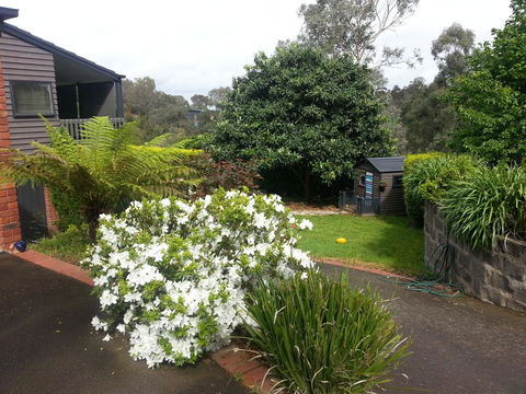 Warrandyte Retreat Guest House - Accommodation Bookings 0
