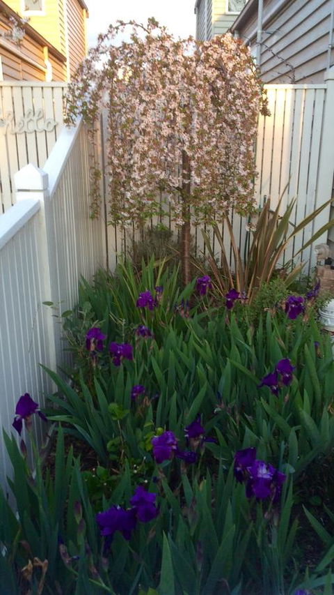 Redruth Cottage - Accommodation Bookings 24