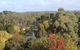 The Orchard - thumb 28