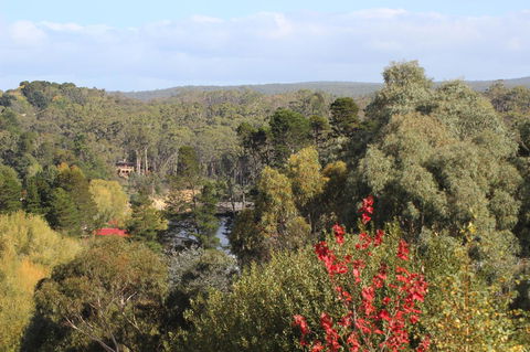 The Orchard - Accommodation Bookings 28
