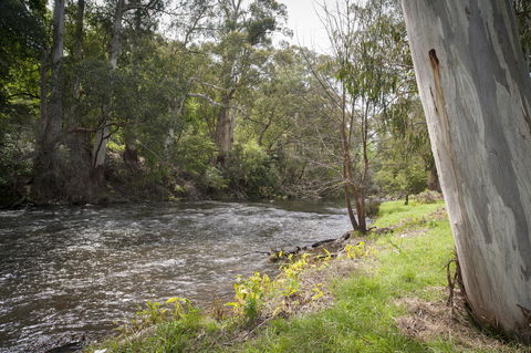 Oscar\'s On The Yarra - Accommodation Bookings 23