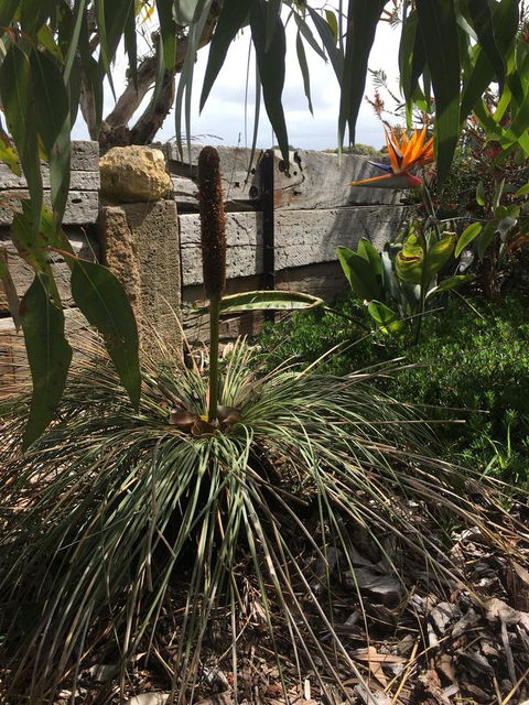 The PC Cottage - Accommodation Bookings 32
