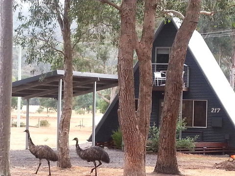 The A-Frame - Accommodation Bookings 9