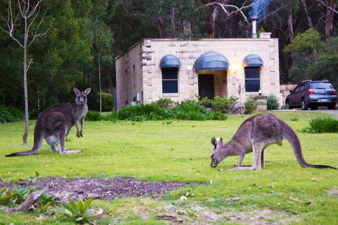 Marwood Villas - Accommodation Bookings 0