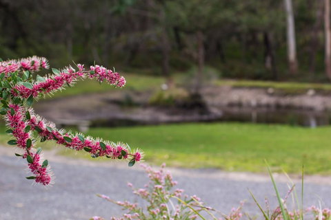 Marwood Villas - Accommodation Bookings 35