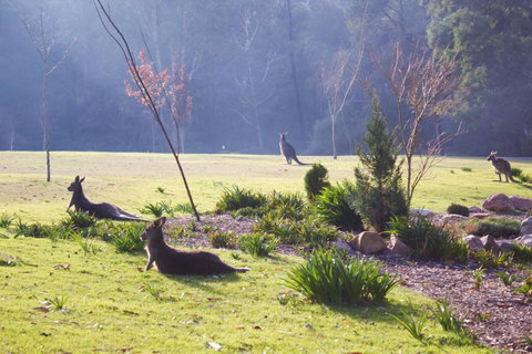 Marwood Villas - Accommodation Bookings 30