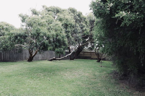 Red Ceder Cottage - Great Ocean Road - Port Campbell - Accommodation Bookings 24