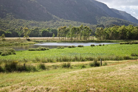 Gumnut Villa - Accommodation Bookings 11