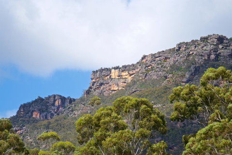 Gumnut Villa - Accommodation Bookings 15