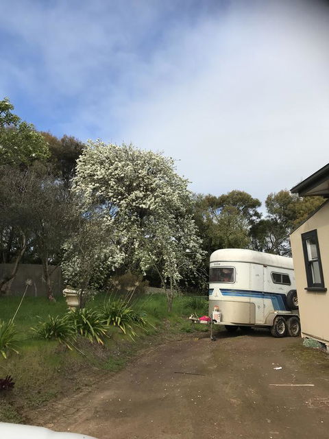 Hillâ€™s Creek Holiday Home - Accommodation Bookings 6
