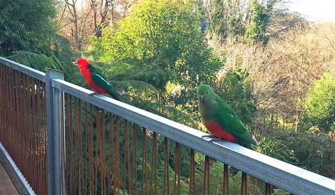 Beautiful View House - Accommodation Bookings 11