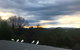 Beautiful View House - thumb 21
