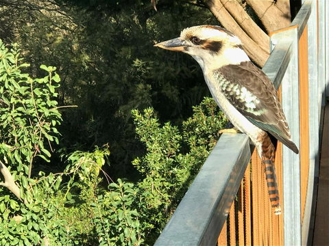 Beautiful View House - Accommodation Bookings 12