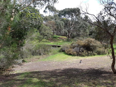 Elevated Holiday House Overlooks Tranquil Wetlands - Accommodation Bookings 11