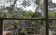 Elevated Holiday House Overlooks Tranquil Wetlands - thumb 10