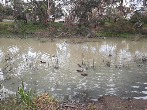 Elevated Holiday House Overlooks Tranquil Wetlands - Accommodation Bookings 12