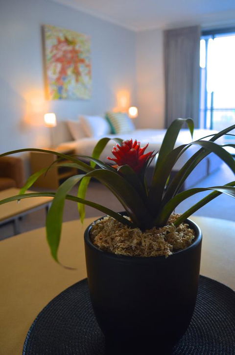 Mansfield Apartments - Accommodation Bookings 21