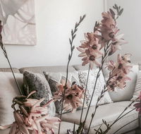 Bed of Roses - Accommodation Bookings