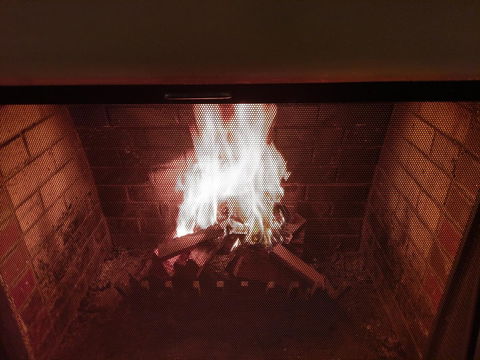 Ansonia On Lydiard - Accommodation Bookings 17