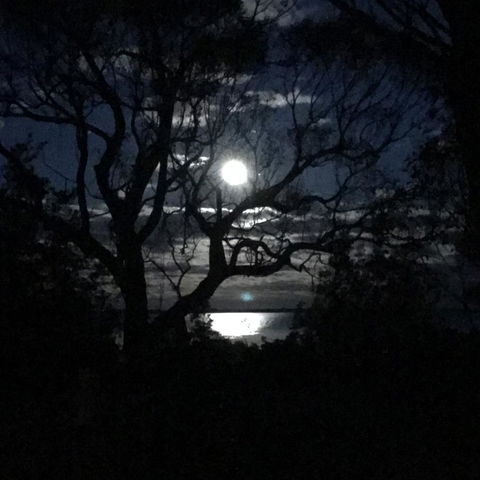 Swan Cove Beachfront - Accommodation Bookings 12