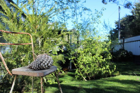 Cottage 4A - Accommodation Bookings 13