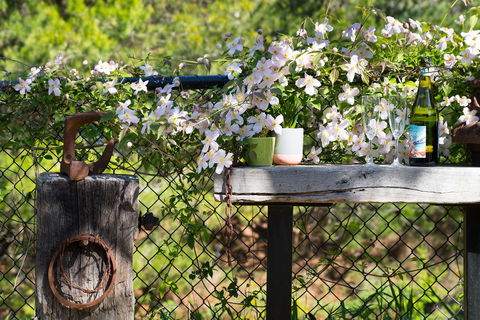 Cottage 4A - Accommodation Bookings 4