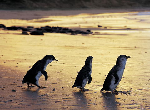 Cottages For Two - Accommodation Bookings 10