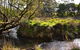 Green Gully House - thumb 5