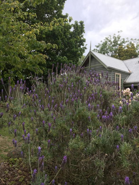 Oak Tree Lodge - Accommodation Bookings 25