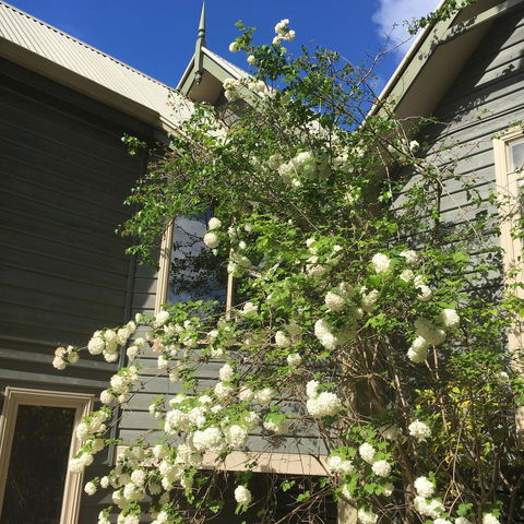 Oak Tree Lodge - Accommodation Bookings 16