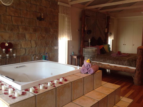 Ditto Daddy's - Accommodation Bookings 9
