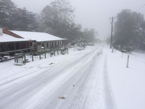 Tarra Bulga Guesthouse - Accommodation Bookings 8
