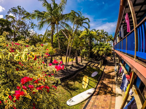 Cool Bananas Backpackers - Accommodation Bookings 17