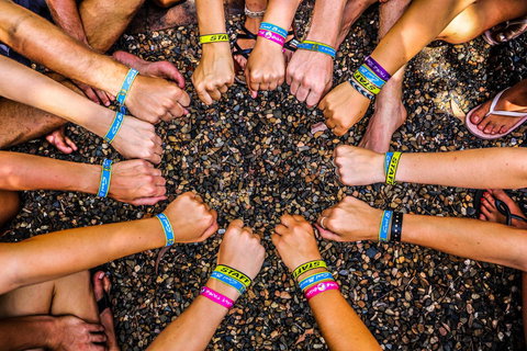 Cool Bananas Backpackers - Accommodation Bookings 22