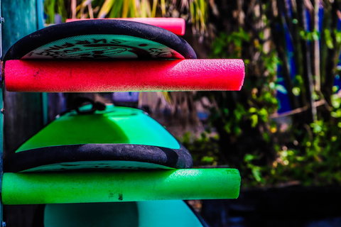 Cool Bananas Backpackers - Accommodation Bookings 39