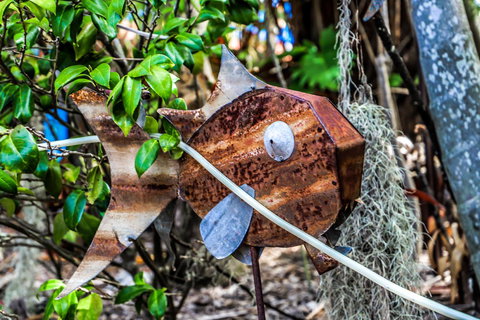 Cool Bananas Backpackers - Accommodation Bookings 24