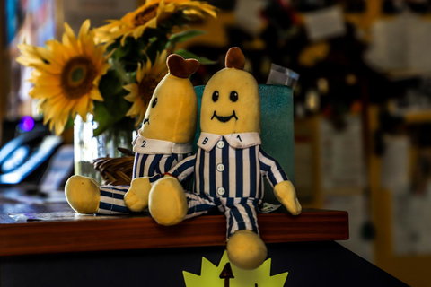 Cool Bananas Backpackers - Accommodation Bookings 30